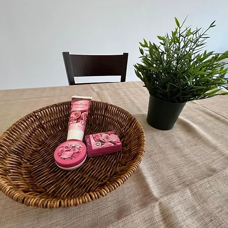 Na Zielonych Wzgorzach 公寓 阳光海滩