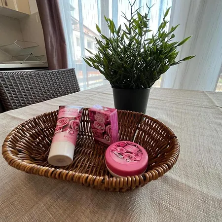 Na Zielonych Wzgorzach 公寓 阳光海滩